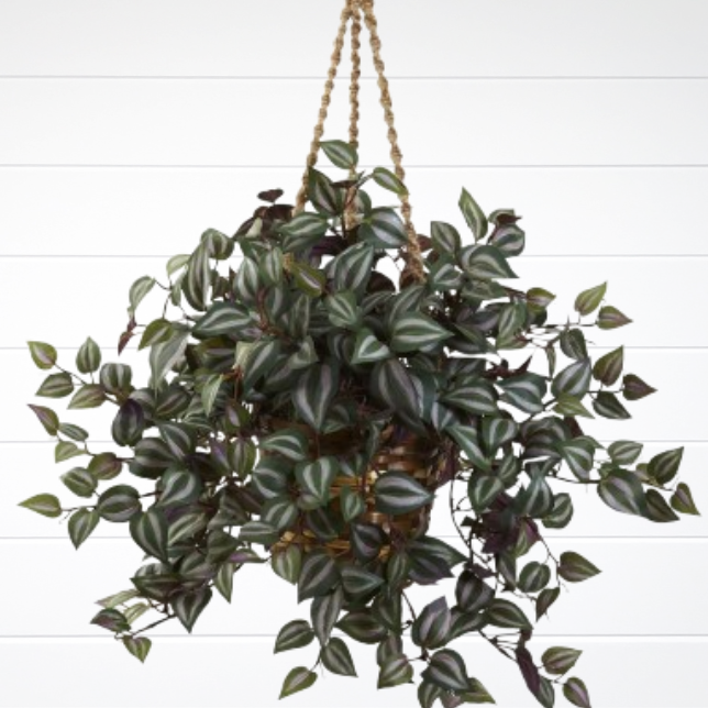 Cesta suspensa Zebrina pendula Artificial