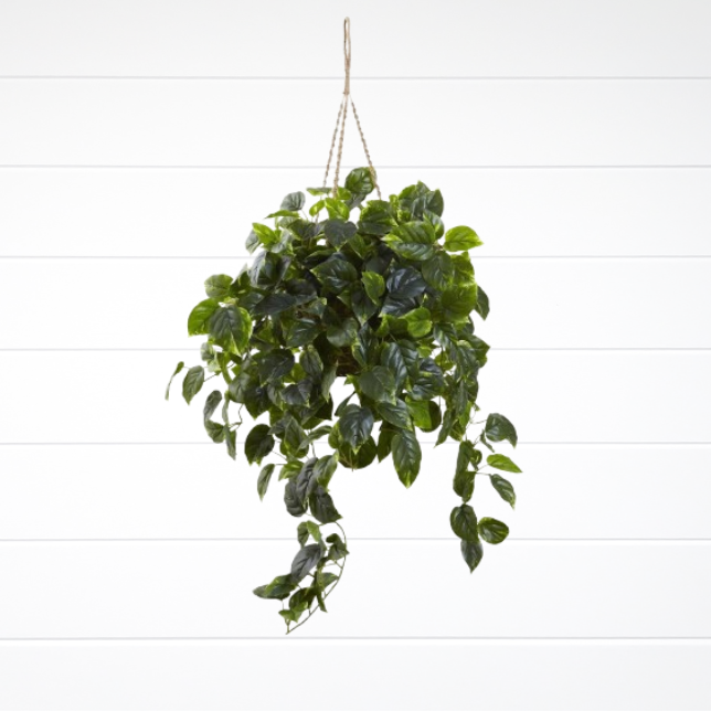 Cesta suspensa Pothos Artificial