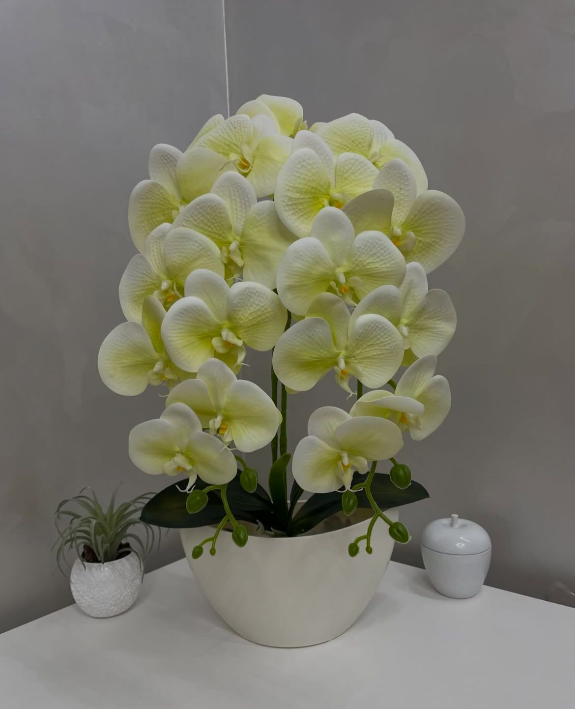 Orquídea Artificial com Jarro - 59cm