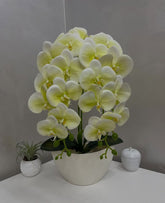 Orquídea Artificial com Jarro - 59cm