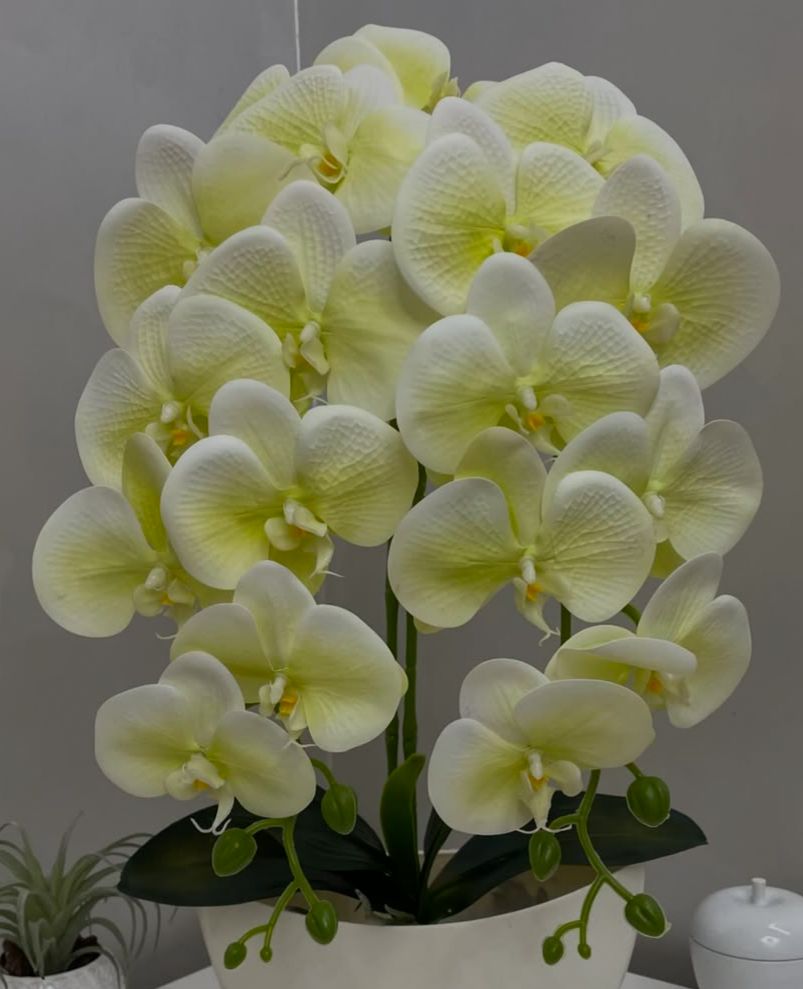 Orquídea Artificial com Jarro - 59cm
